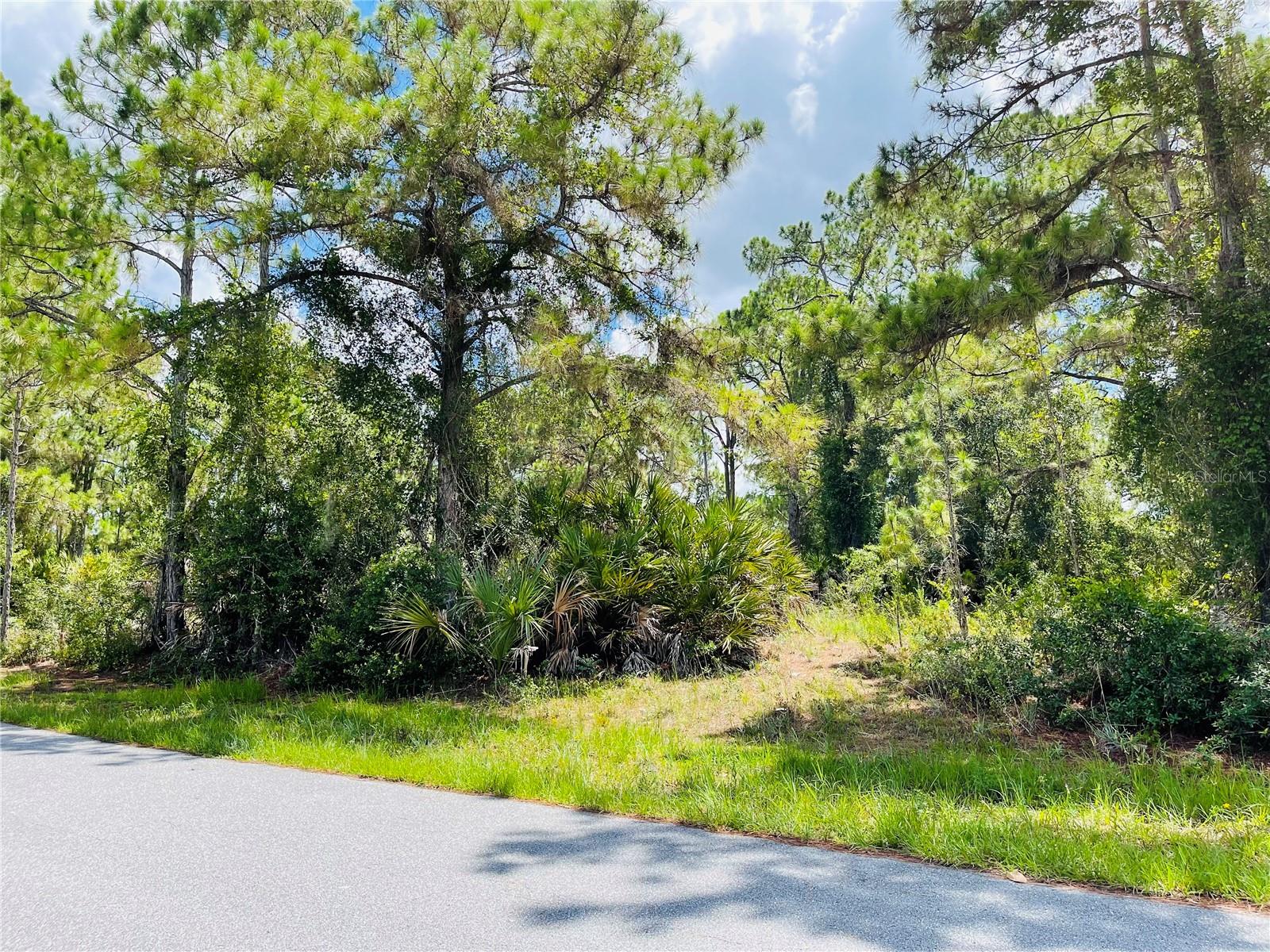 Lot 2 ALWOOD ST, NORTH PORT, FL — photo 9
