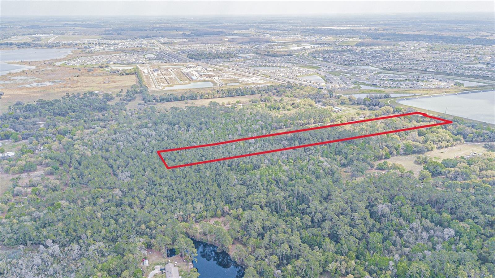30651 ELAM RD, WESLEY CHAPEL, FL — photo 4