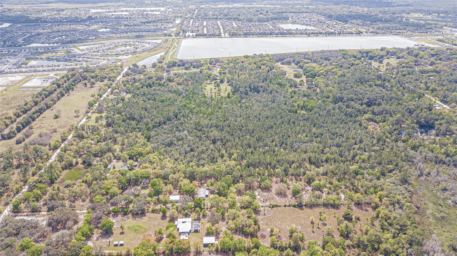 30651 ELAM RD, WESLEY CHAPEL, FL — photo 58