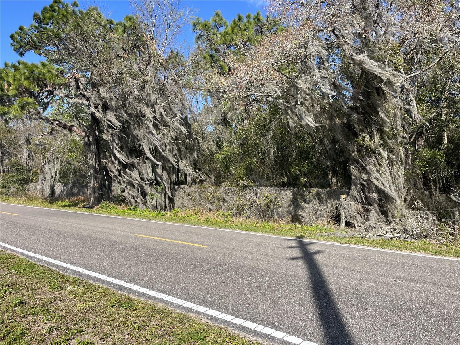 30651 ELAM RD, WESLEY CHAPEL, FL — photo 15