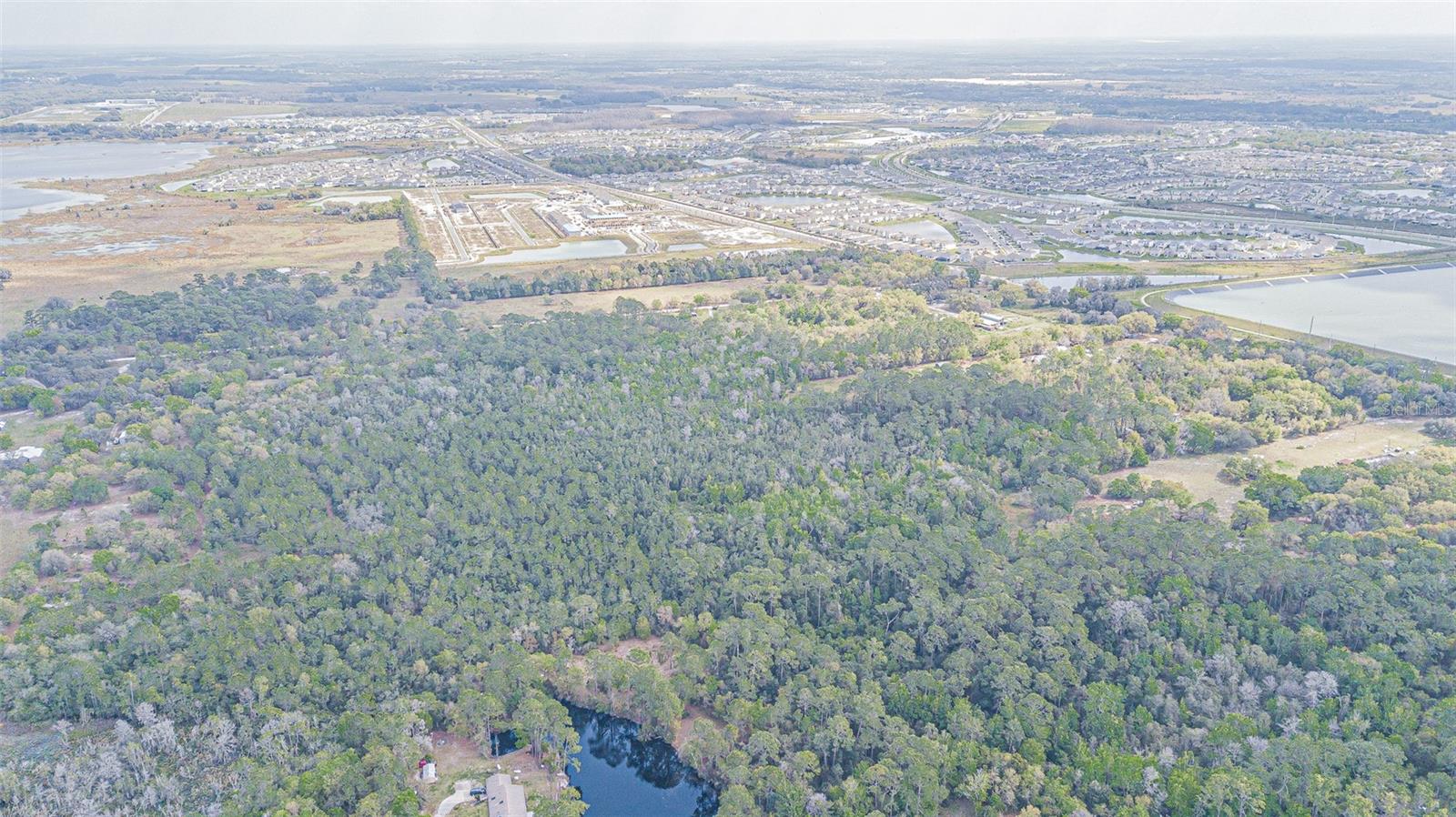30651 ELAM RD, WESLEY CHAPEL, FL — photo 25