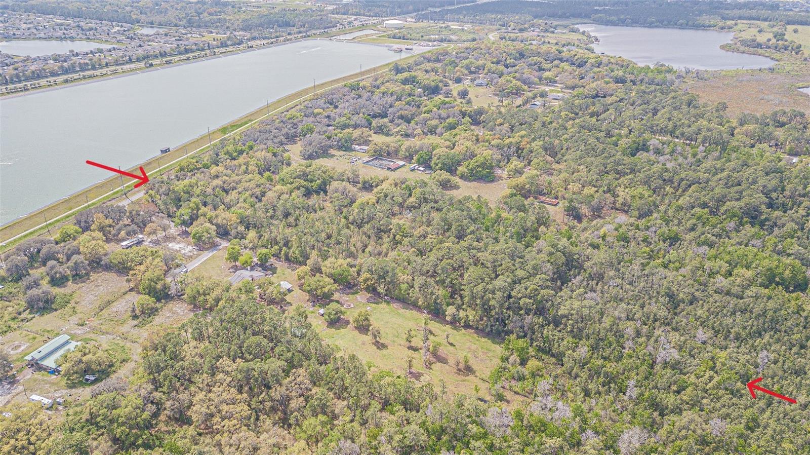 30651 ELAM RD, WESLEY CHAPEL, FL — photo 40