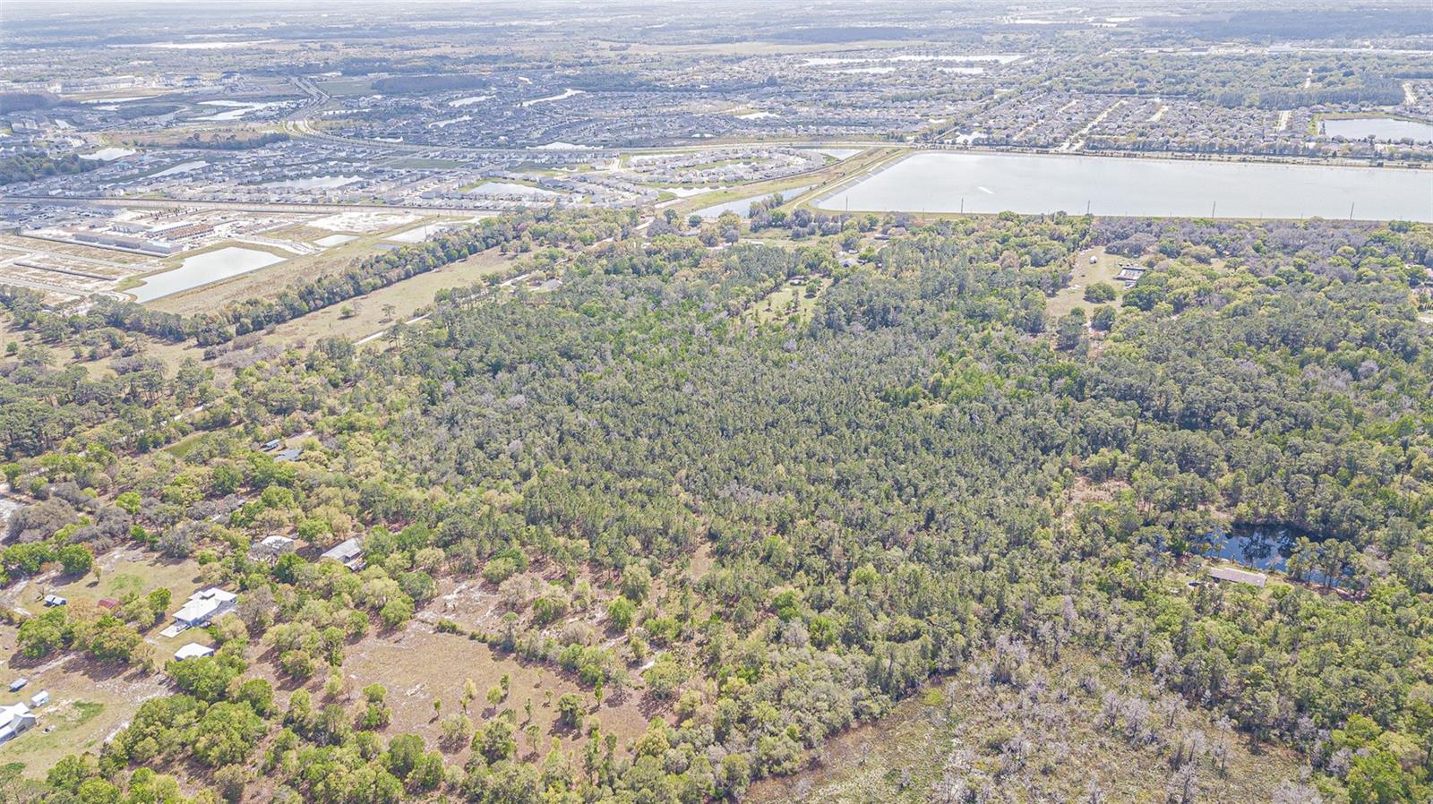 30651 ELAM RD, WESLEY CHAPEL, FL — photo 38