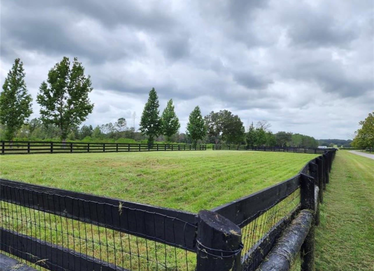 16070 SE 55 AVE RD, SUMMERFIELD, FL — photo 15