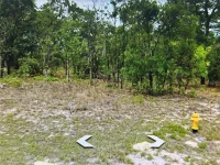 2466 W SWANSON DR — photo 3