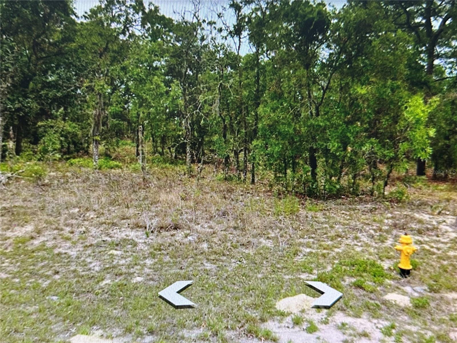 2466 W SWANSON DR, CITRUS SPRINGS, FL — photo 4