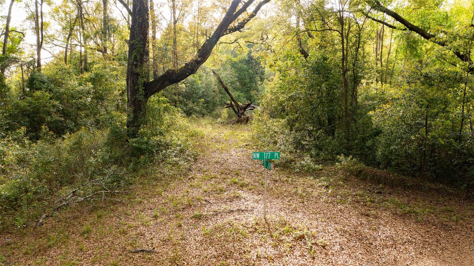 00 NW 177TH PL, HIGH SPRINGS, FL — photo 5