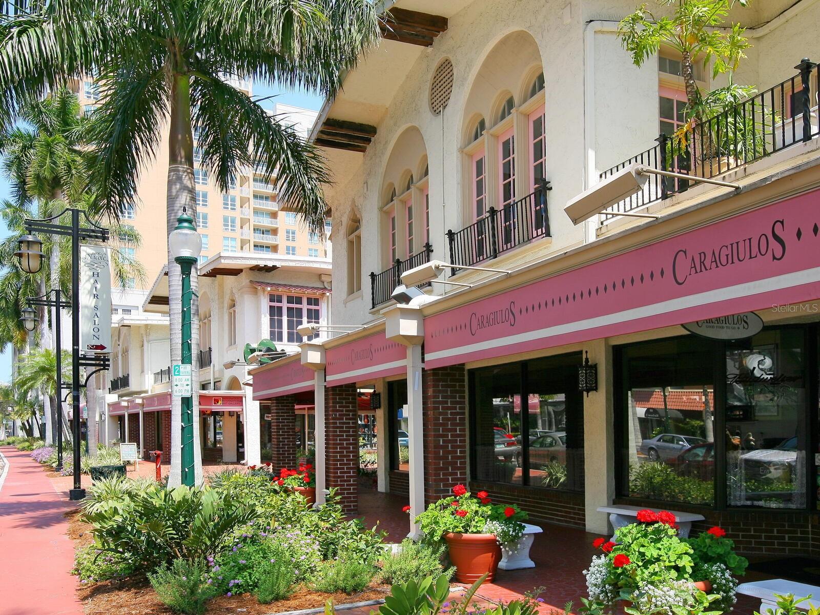 410 N ORANGE AVE #118, SARASOTA, FL — photo 10