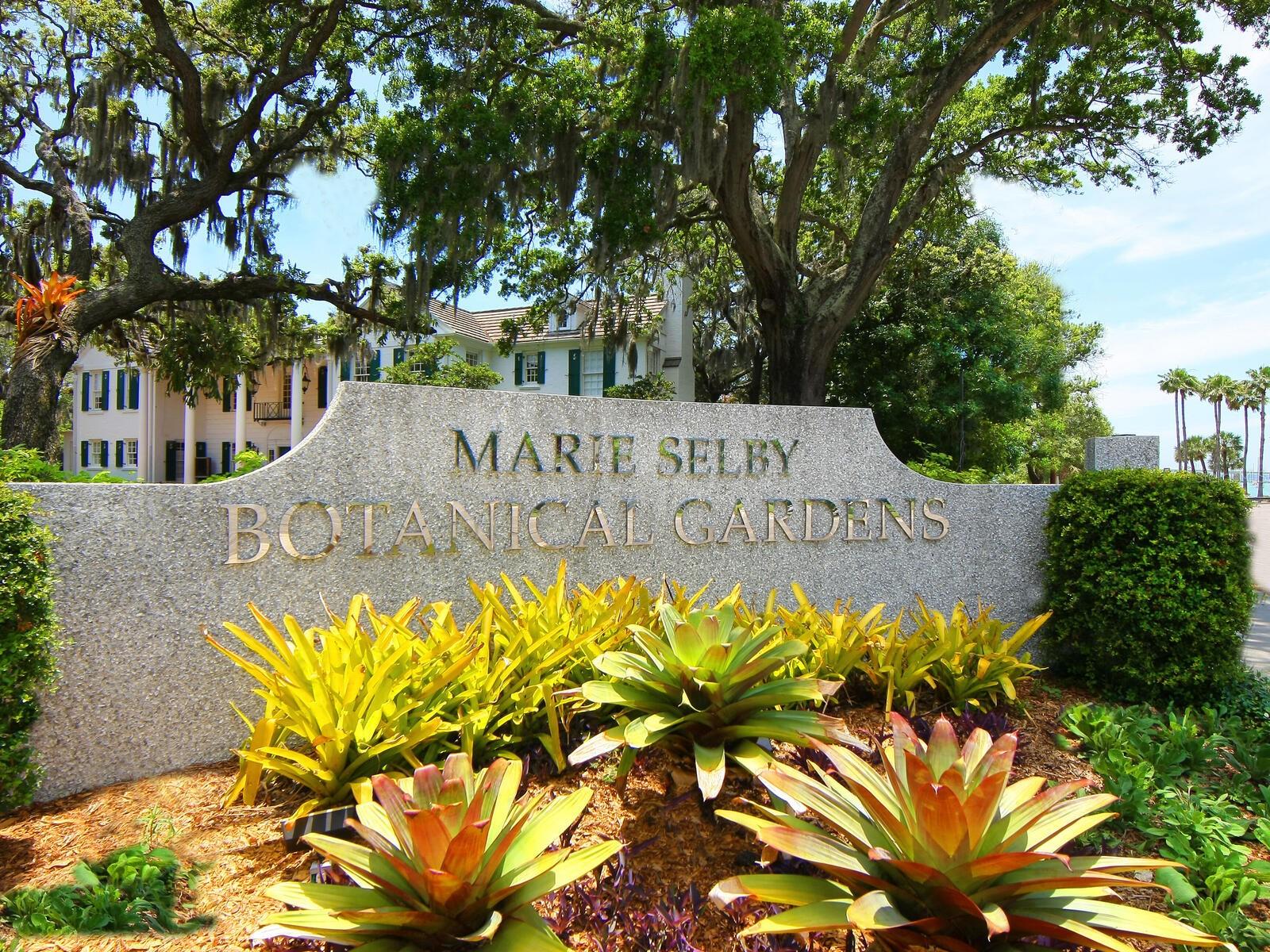 410 N ORANGE AVE #118, SARASOTA, FL — photo 17