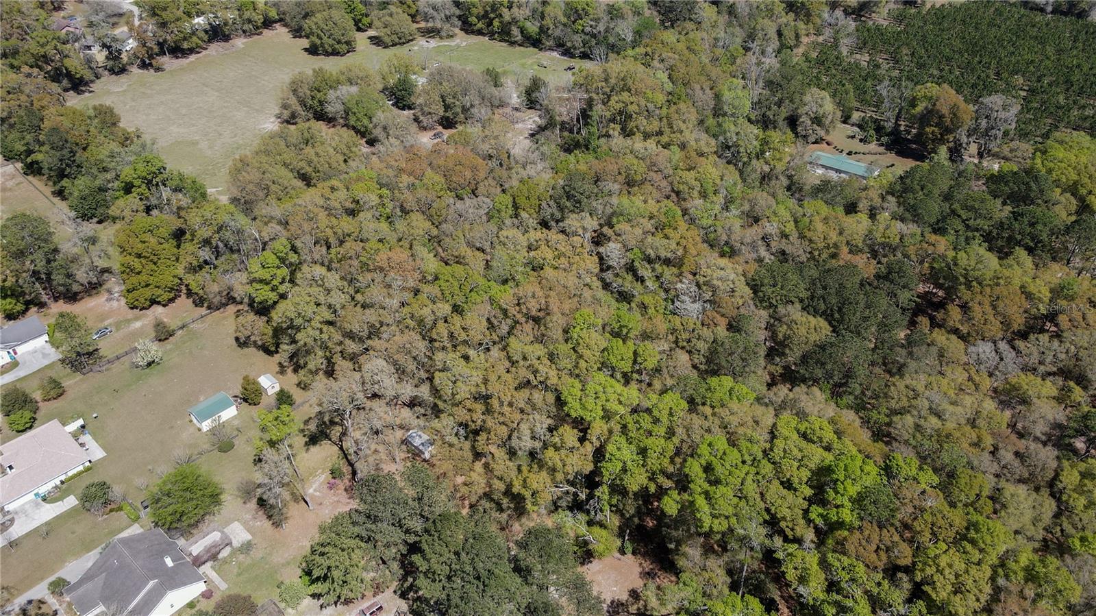 NW 253RD ST, HIGH SPRINGS, FL — photo 15