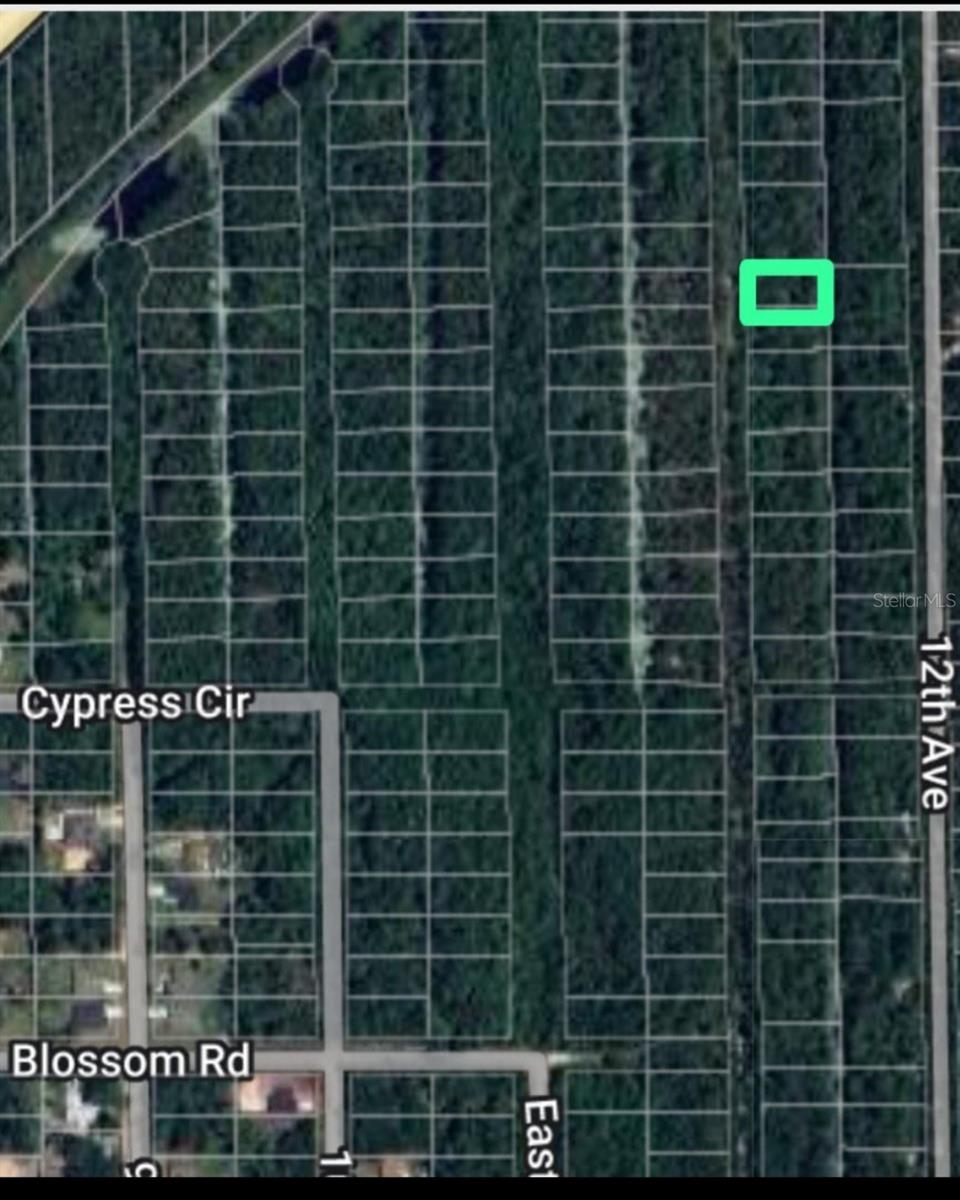TBD 11TH AVE, DELAND, FL — photo 3