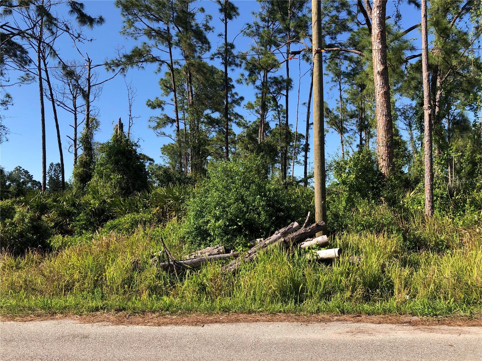DANDURAND AVE, NORTH PORT, FL