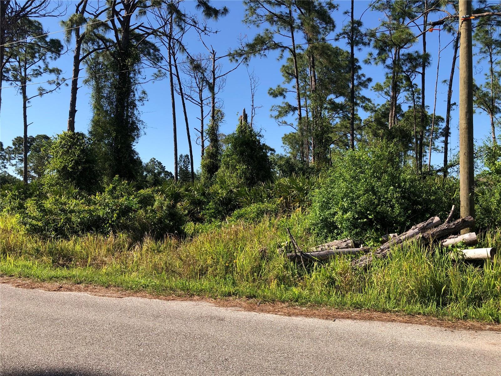 DANDURAND AVE, NORTH PORT, FL — photo 2