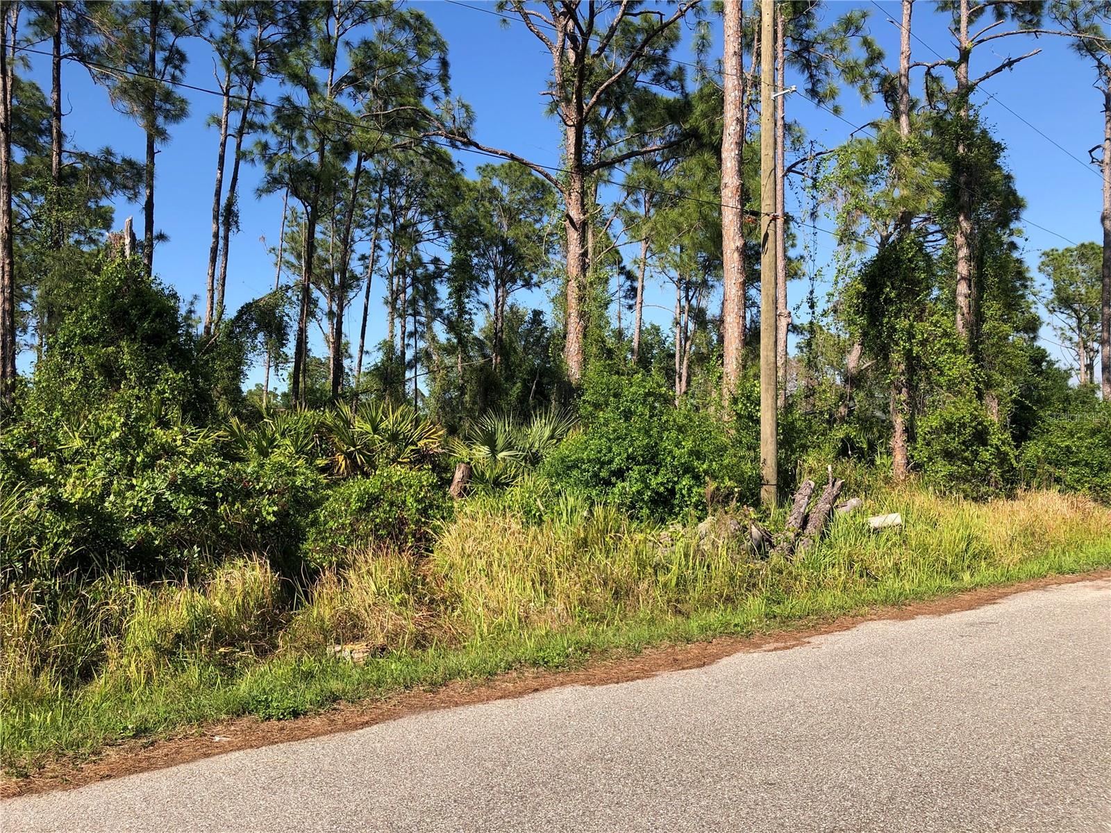 DANDURAND AVE, NORTH PORT, FL — photo 3