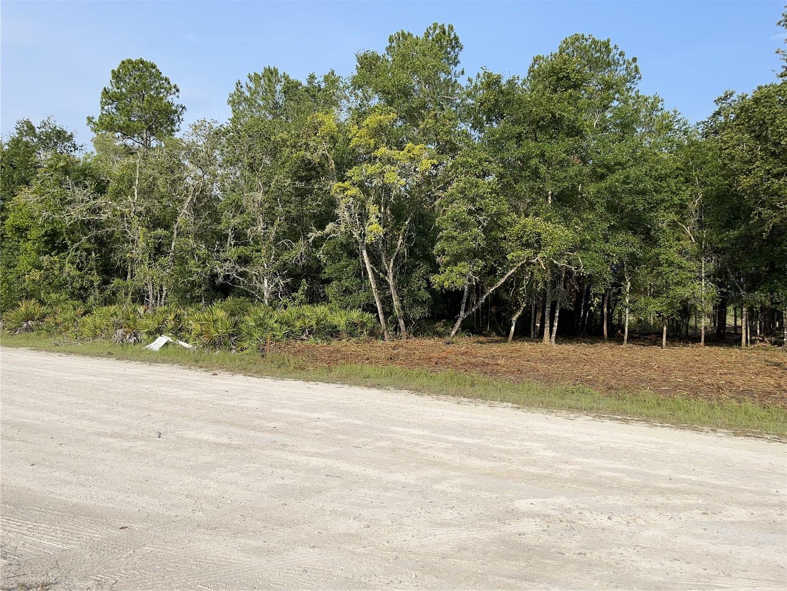 7123 GLENCHESTER DR, WEBSTER, FL