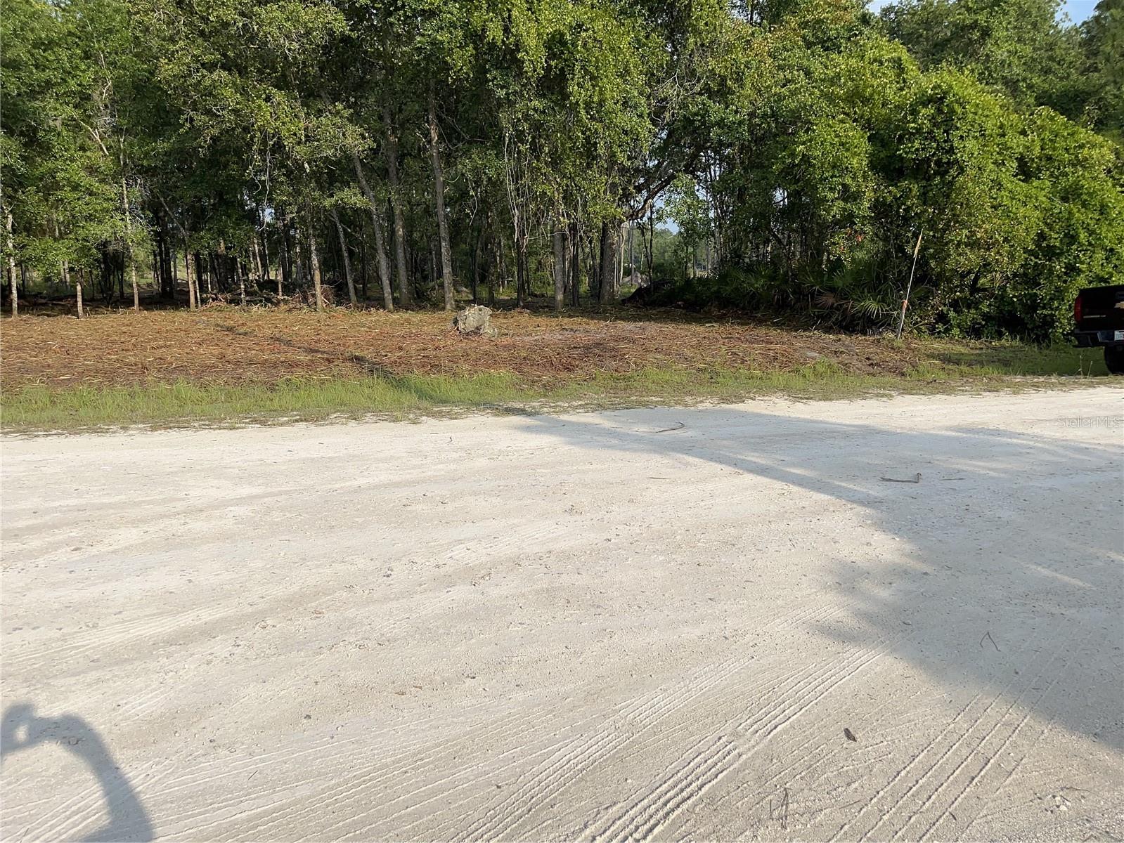 7123 GLENCHESTER DR, WEBSTER, FL — photo 2