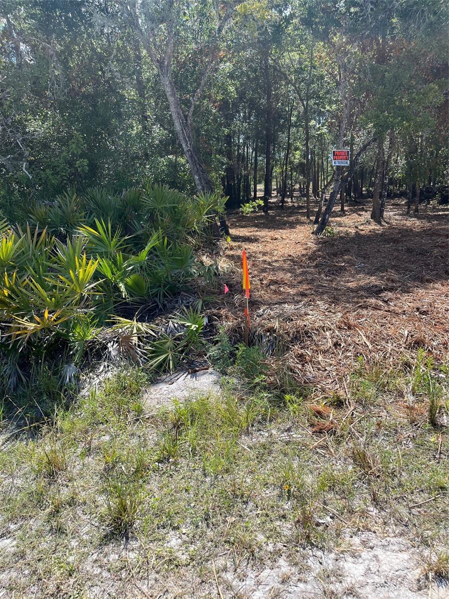 7123 GLENCHESTER DR, WEBSTER, FL — photo 5