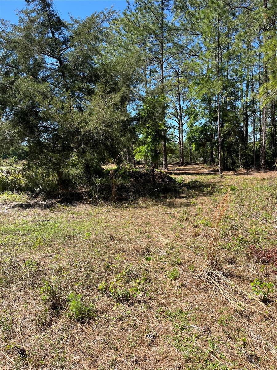7123 GLENCHESTER DR, WEBSTER, FL — photo 12