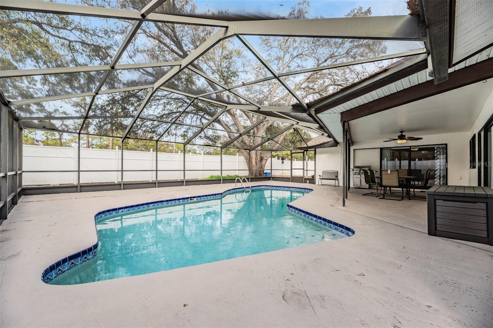 1 FERNERY LN, SAFETY HARBOR, FL — photo 5