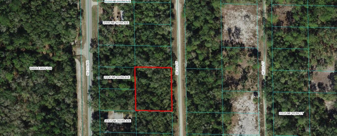 TBD NE 110 CT, FORT MC COY, FL — photo 4