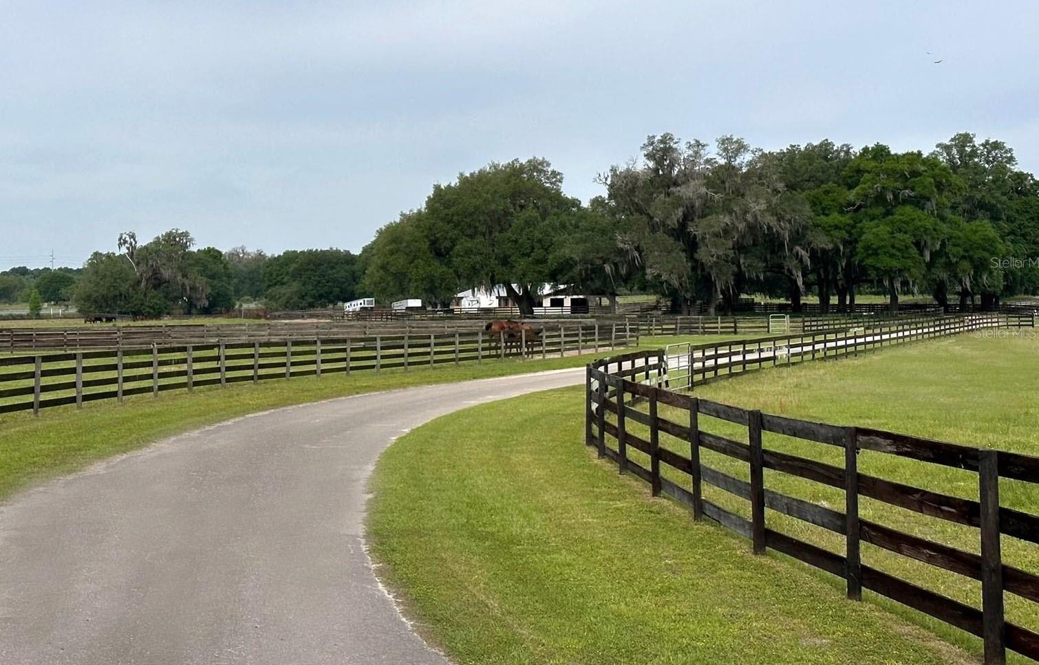 4101 NW 89TH PL, OCALA, FL — photo 3
