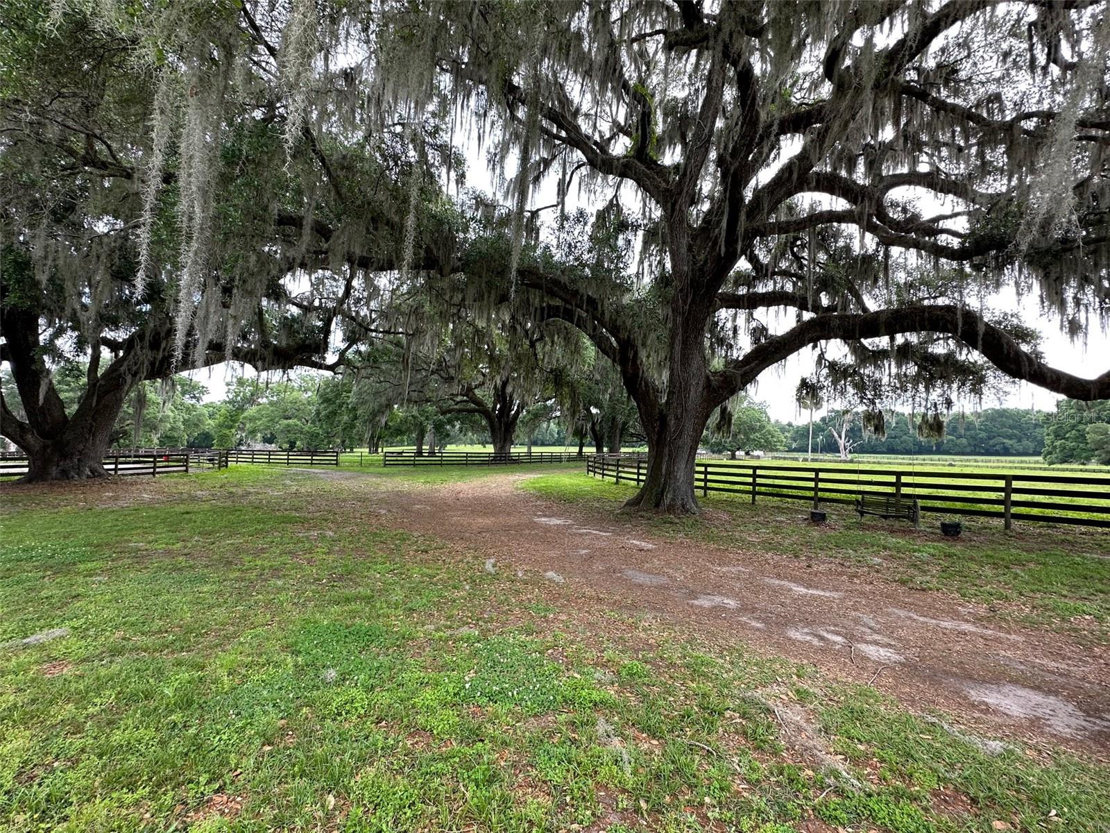 4101 NW 89TH PL, OCALA, FL — photo 7