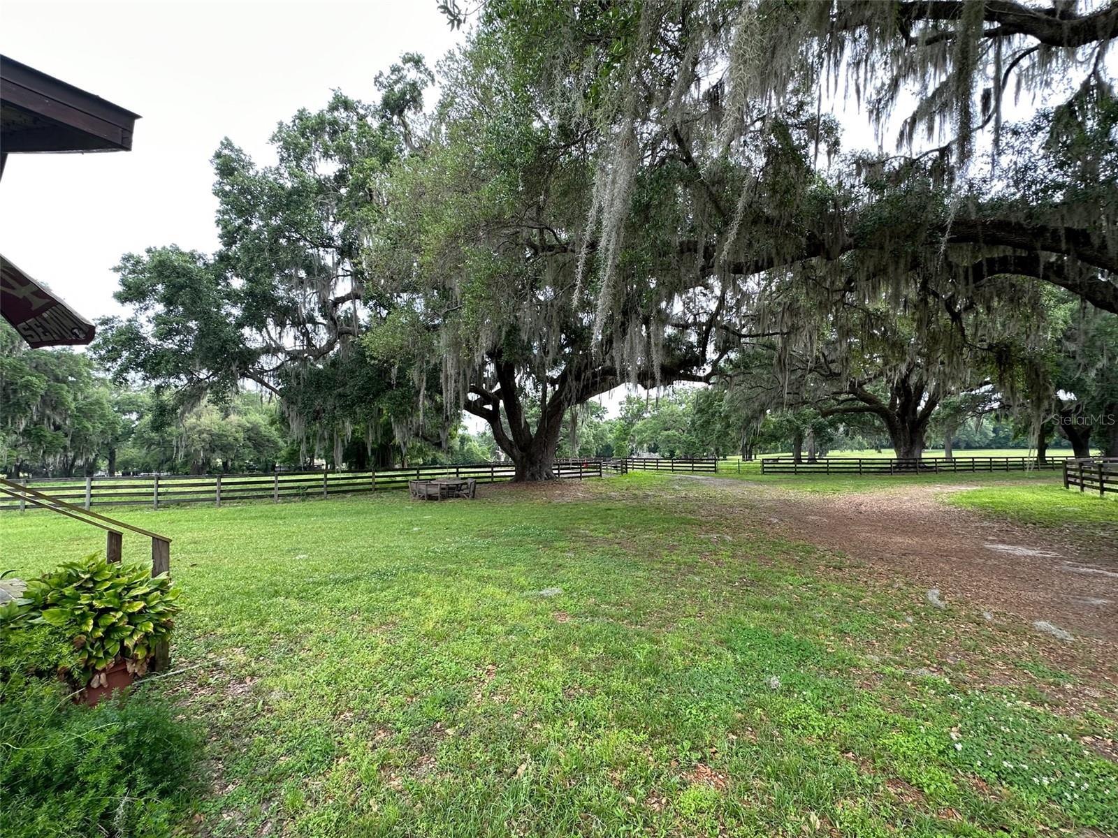 4101 NW 89TH PL, OCALA, FL — photo 8
