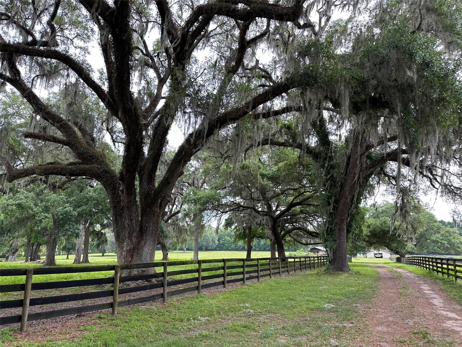 4101 NW 89TH PL, OCALA, FL — photo 9