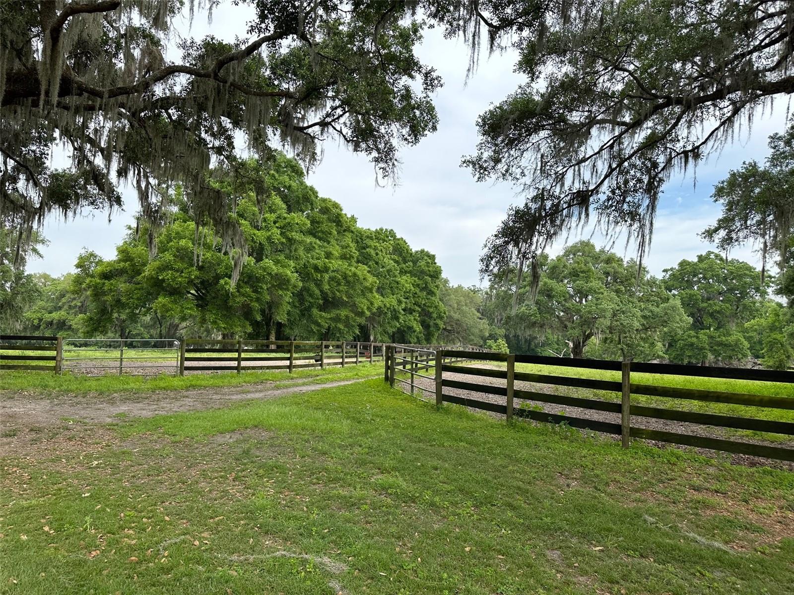 4101 NW 89TH PL, OCALA, FL — photo 11