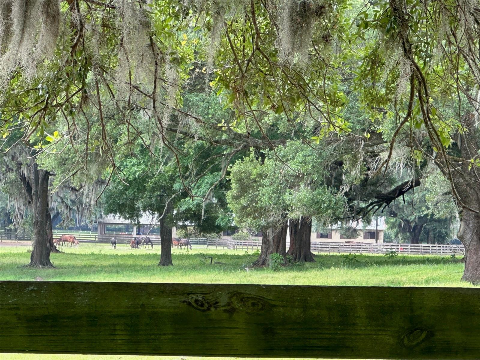 4101 NW 89TH PL, OCALA, FL — photo 12