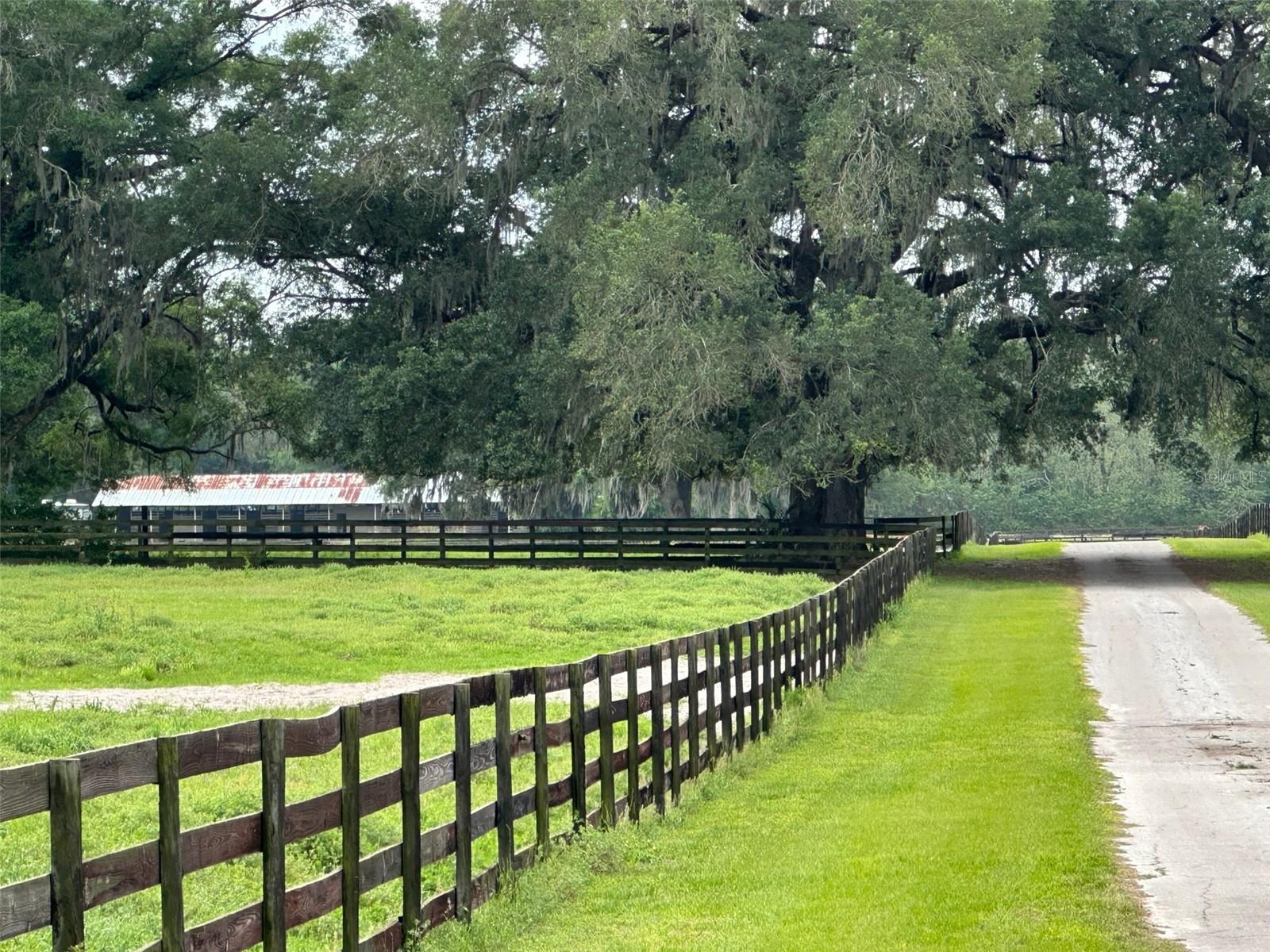 4101 NW 89TH PL, OCALA, FL — photo 15