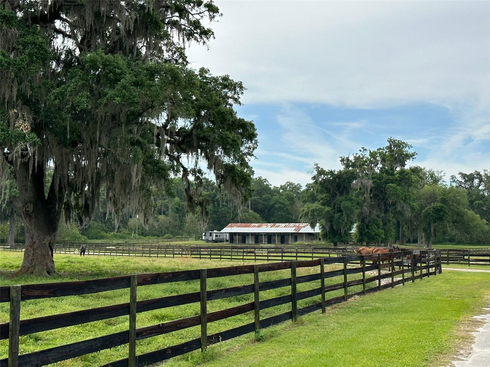 4101 NW 89TH PL, OCALA, FL — photo 17