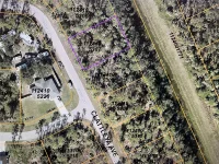 LOT 7 CLATTLEYA AVE — photo 2