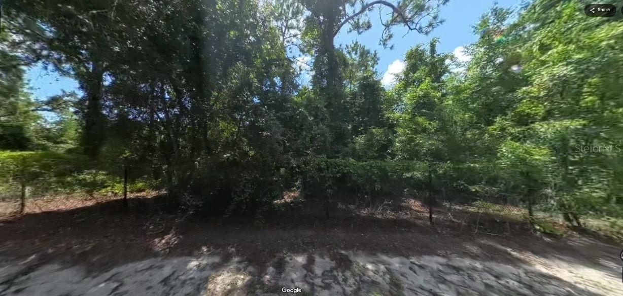 FORGE DRIVE, SPRING HILL, FL — photo 3