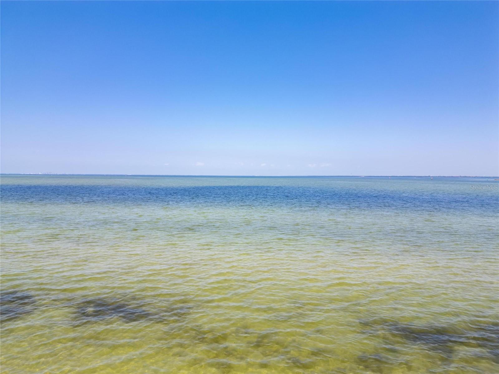1013 SYMPHONY ISLES BLVD, APOLLO BEACH, FL — photo 8