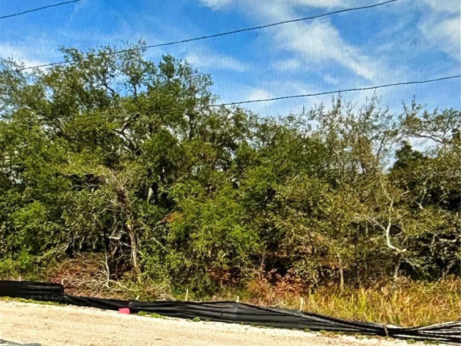 COUNTYLINE, SPRING HILL, FL — photo 6