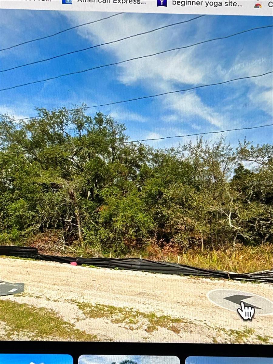 COUNTYLINE, SPRING HILL, FL — photo 5