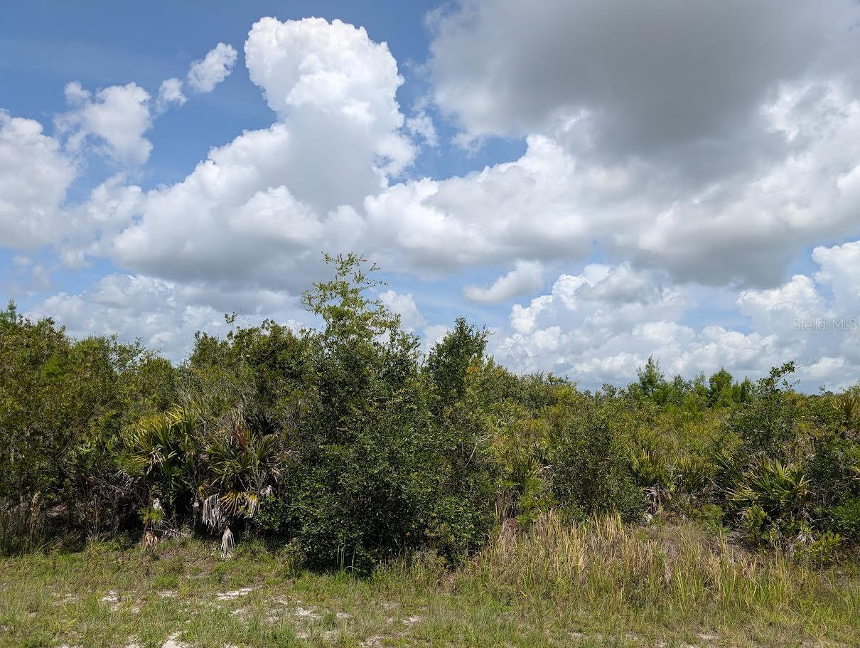 ST PETERSBURG DR, INDIAN LAKE ESTATES, FL