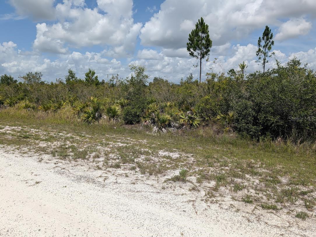 ST PETERSBURG DR, INDIAN LAKE ESTATES, FL — photo 3