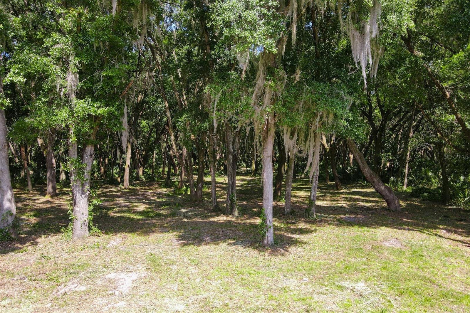 EMERALDA ISLAND RD, LEESBURG, FL