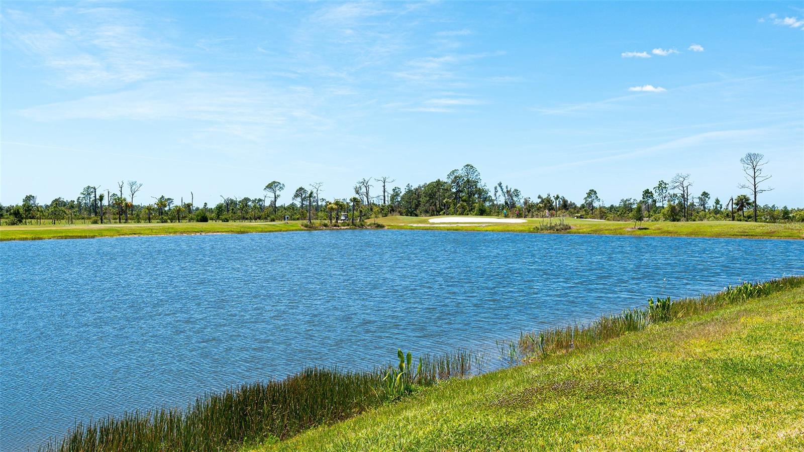 12453 WELLEN GOLF ST, VENICE, FL — photo 58