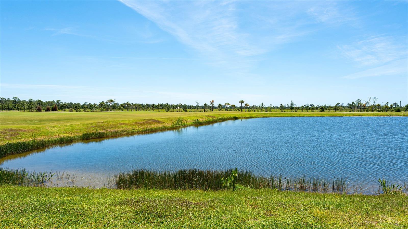 12453 WELLEN GOLF ST, VENICE, FL — photo 59
