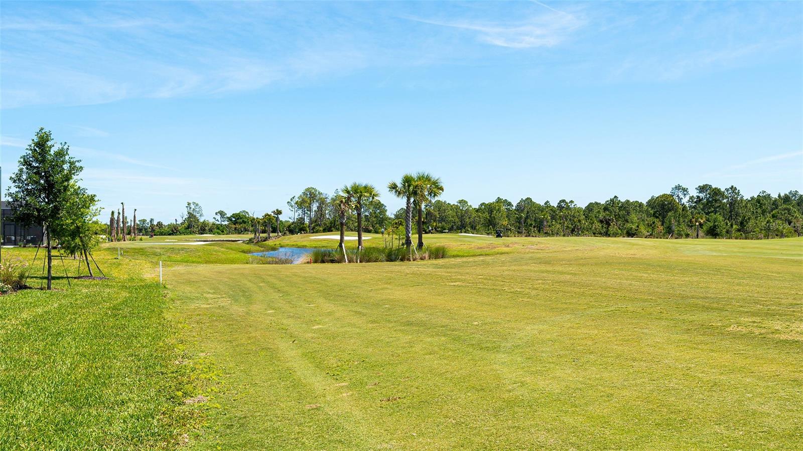 12453 WELLEN GOLF ST, VENICE, FL — photo 61