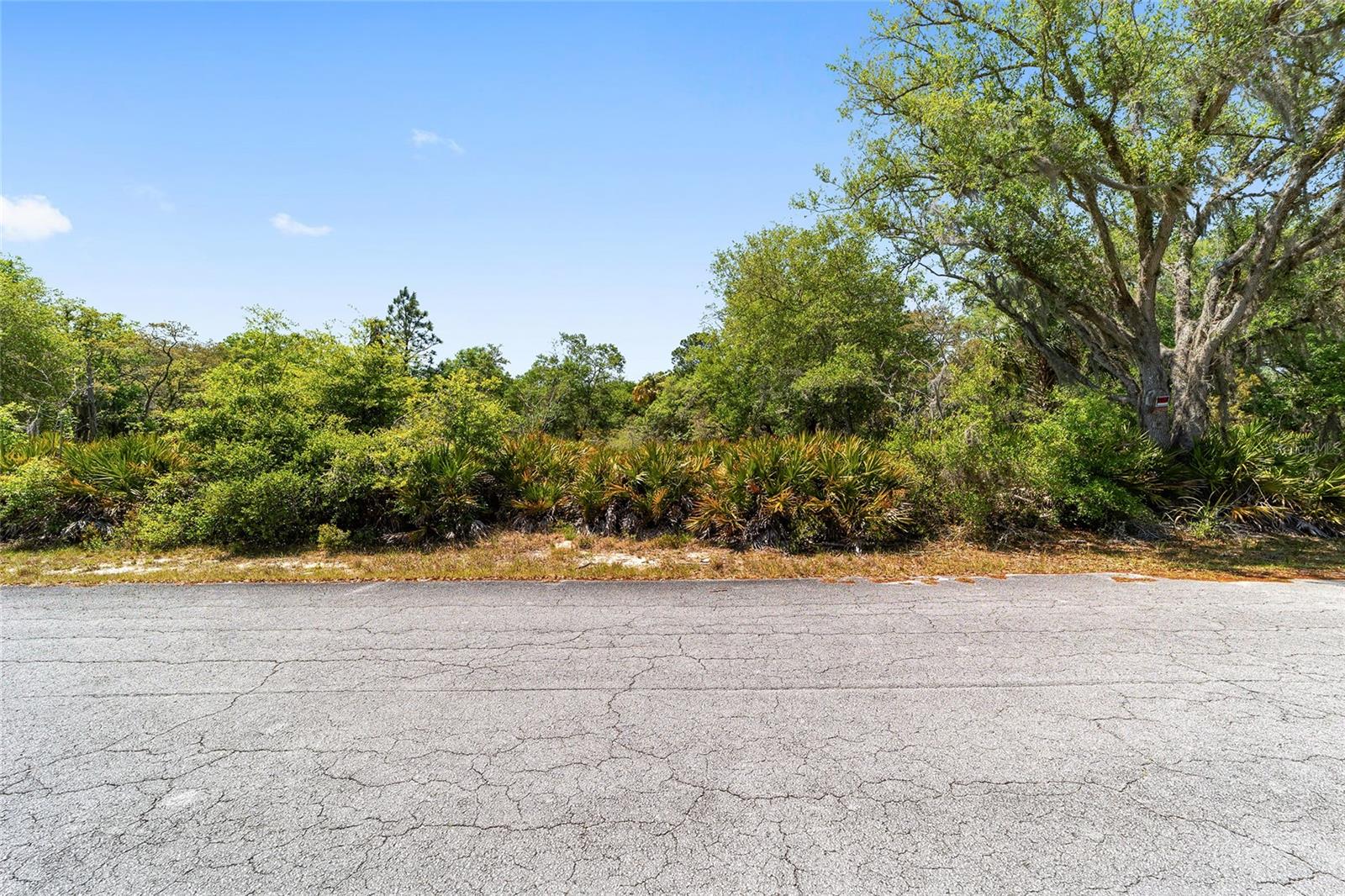 12577 W ROSEMARY PL, CRYSTAL RIVER, FL