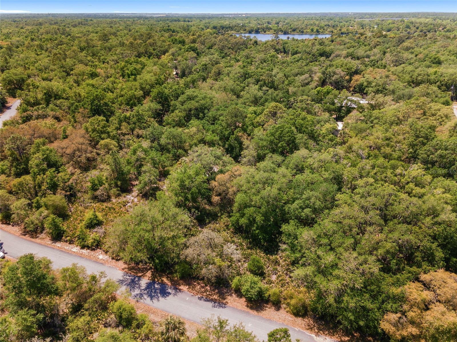 12577 W ROSEMARY PL, CRYSTAL RIVER, FL — photo 5