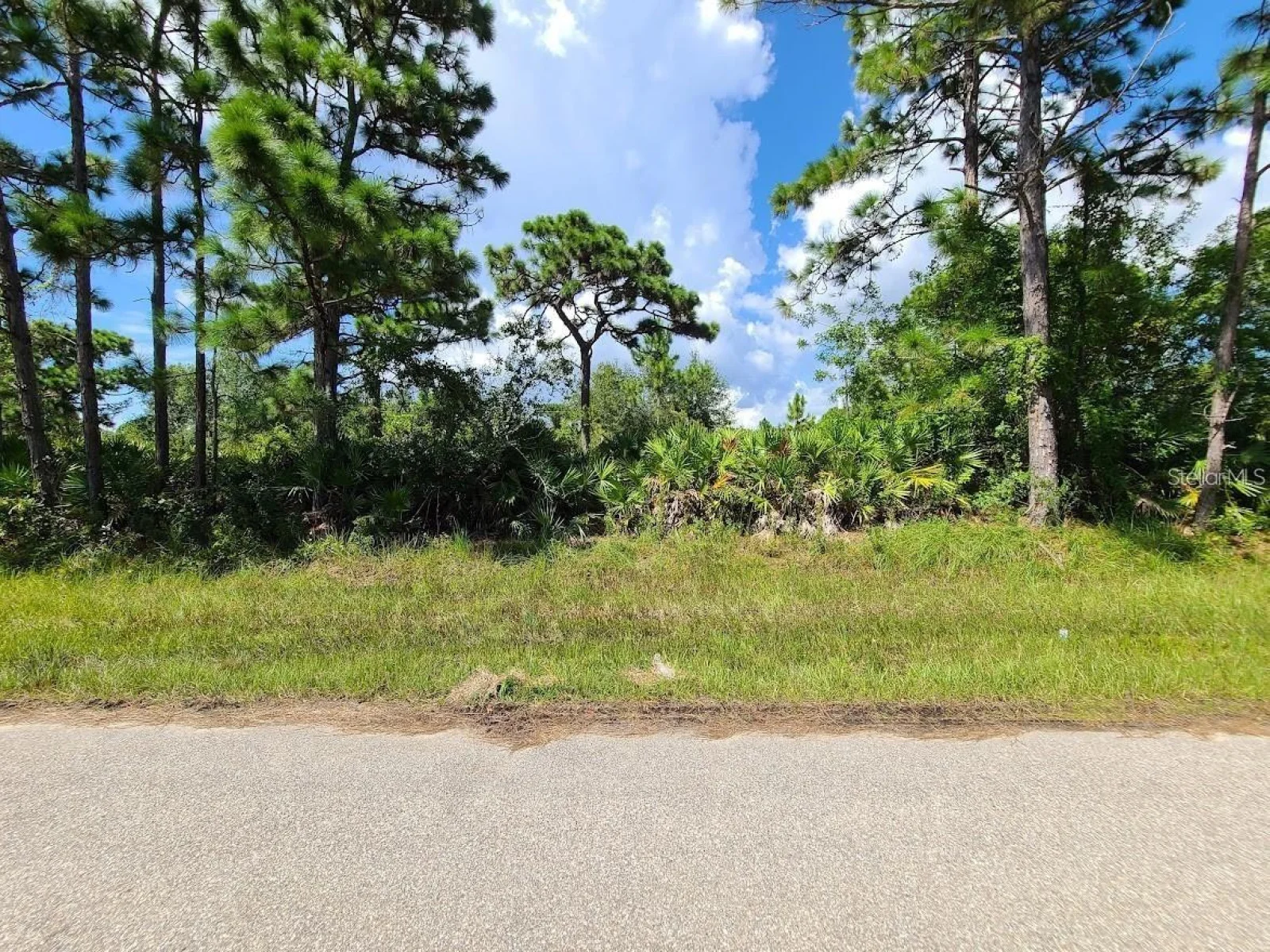 12108 WELLINGTON AVE, PORT CHARLOTTE, FL — photo 3