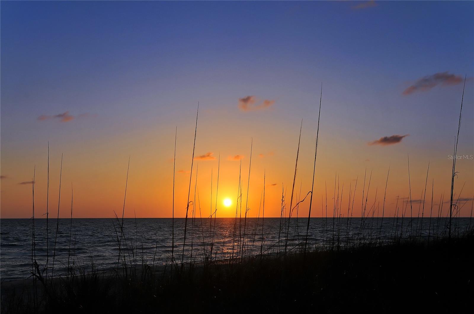 116 VISTA HERMOSA CIR #308C, SARASOTA, FL — photo 98
