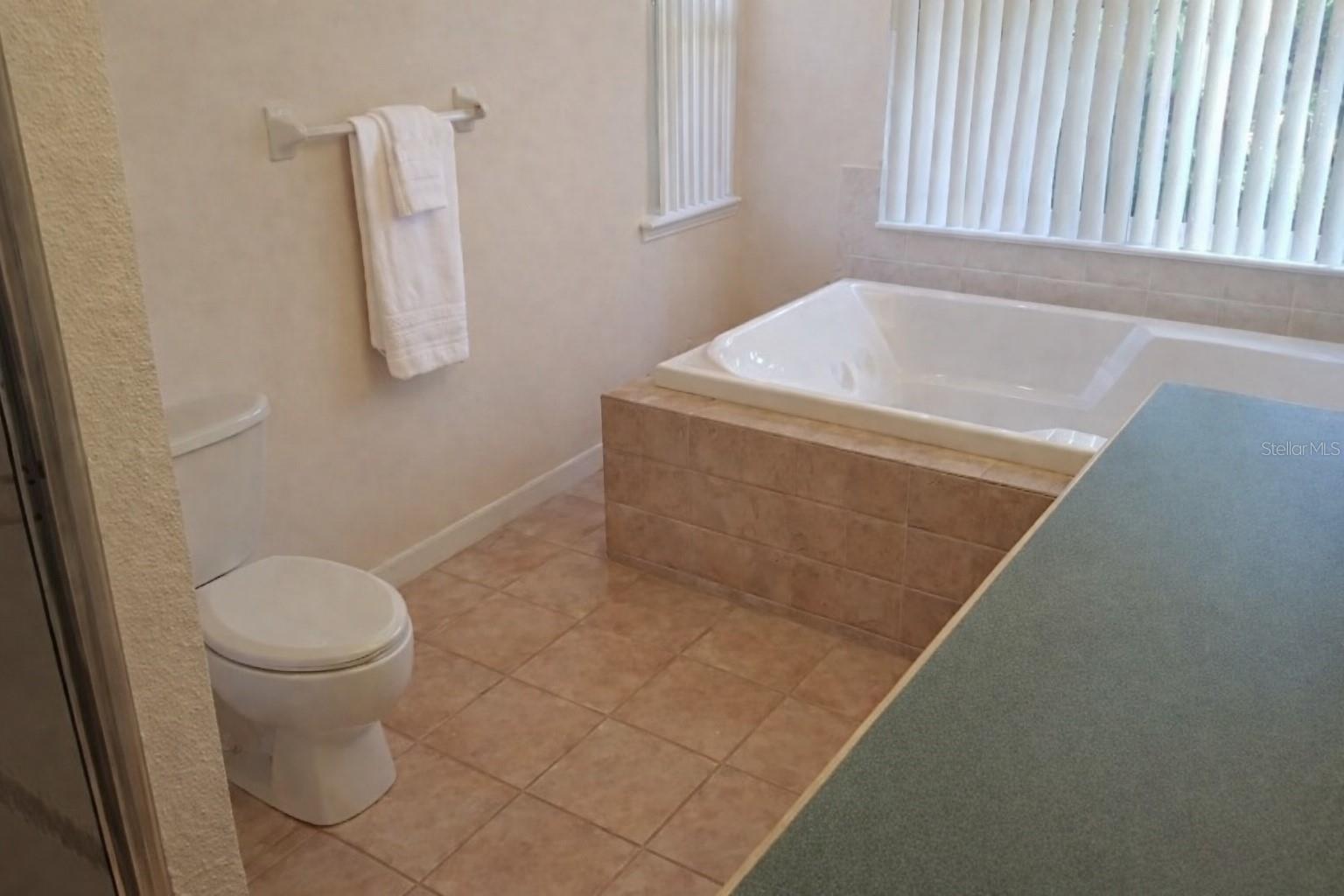 12624 LAKE DENISE BLVD, CLERMONT, FL — photo 51