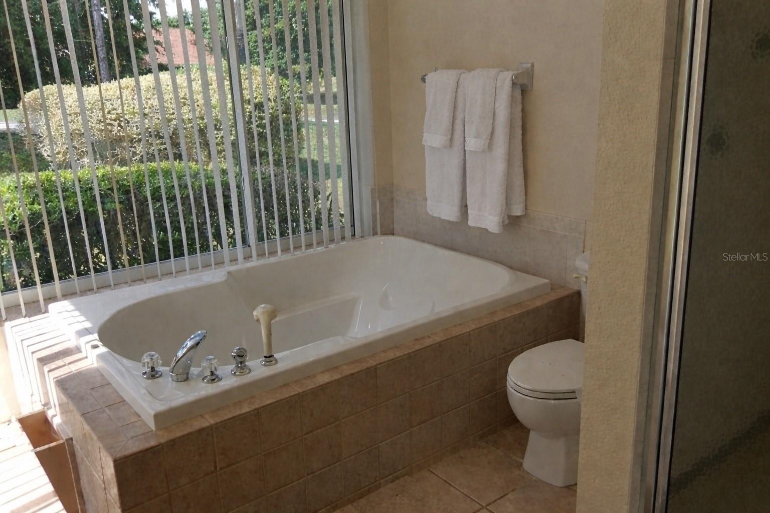 12624 LAKE DENISE BLVD, CLERMONT, FL — photo 54