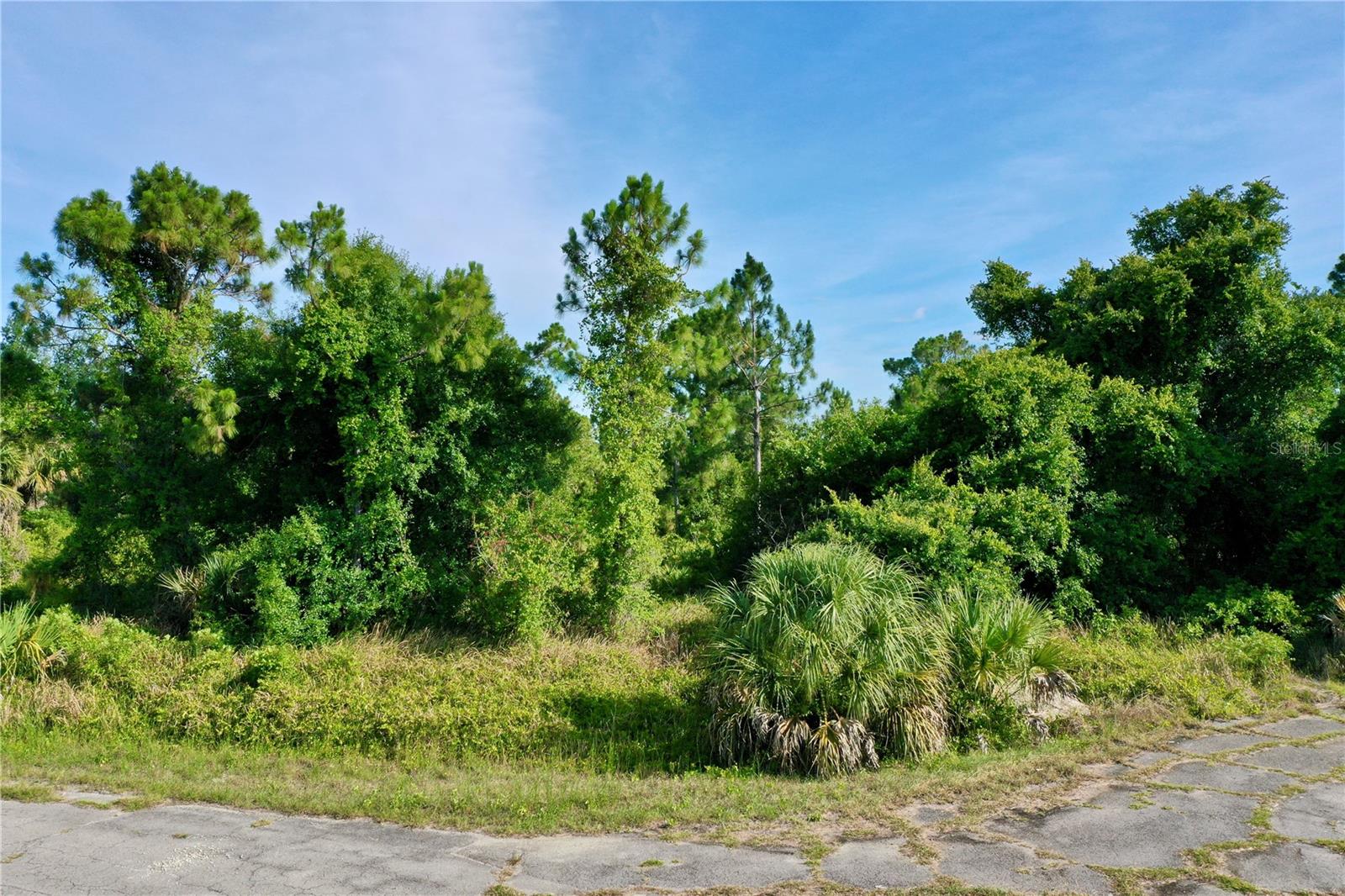 TWISDALE CIR, NORTH PORT, FL — photo 19